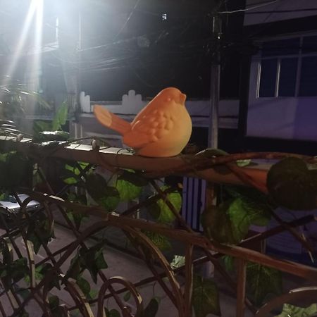 سان جيل Cafe Hotel Boutique Kjtagua المظهر الخارجي الصورة