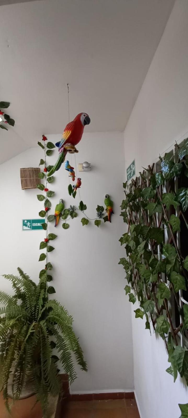 سان جيل Cafe Hotel Boutique Kjtagua المظهر الخارجي الصورة