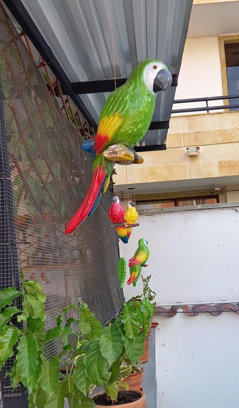 سان جيل Cafe Hotel Boutique Kjtagua المظهر الخارجي الصورة