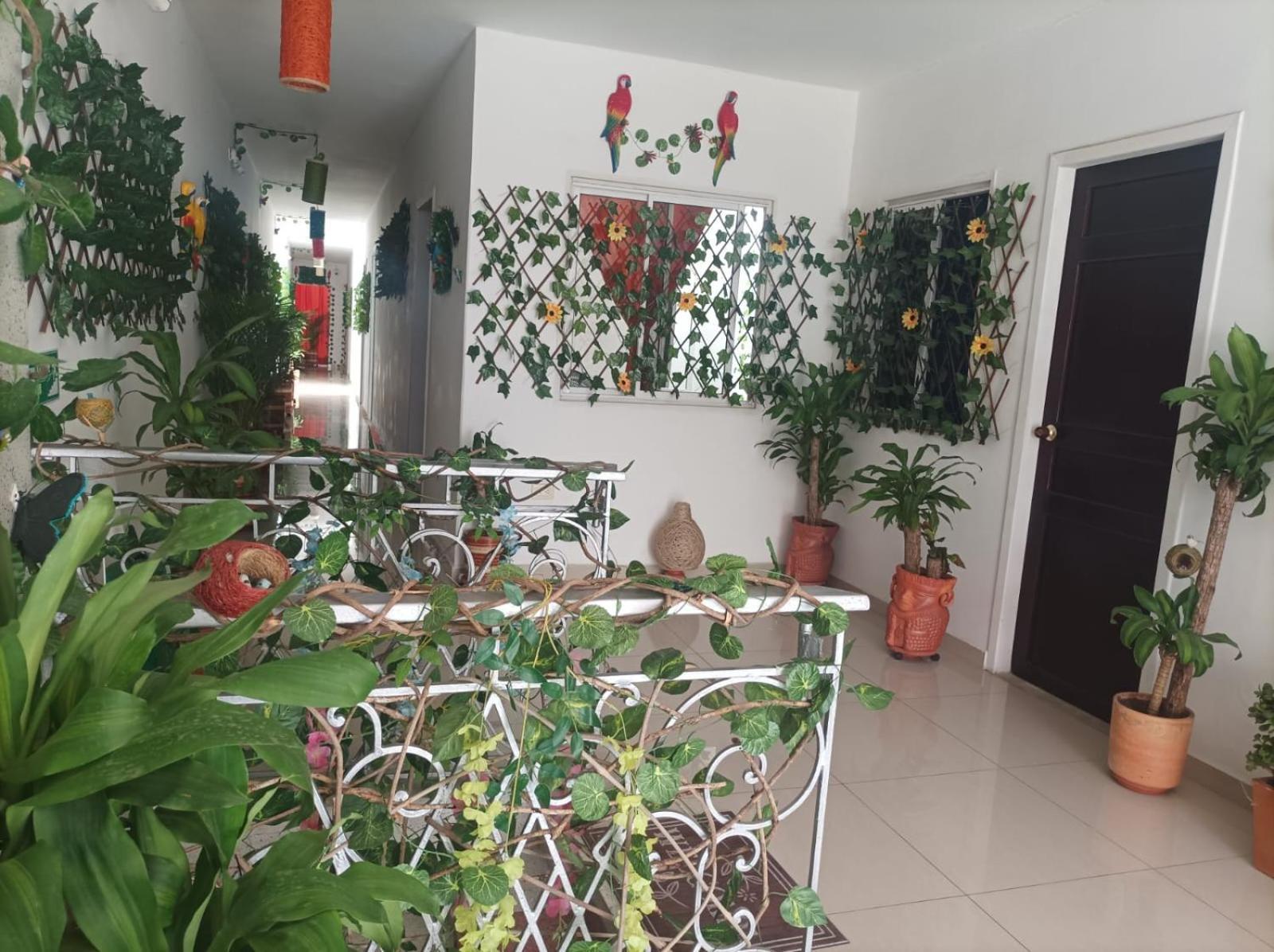 سان جيل Cafe Hotel Boutique Kjtagua المظهر الخارجي الصورة